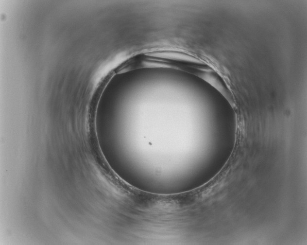 X0000087360248200705041902