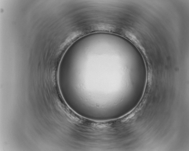 X0000087360249200705041902