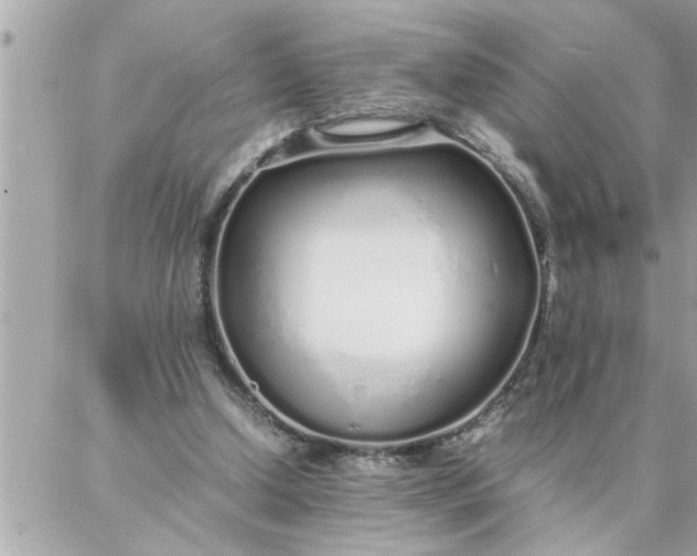 X0000087360250200705041902