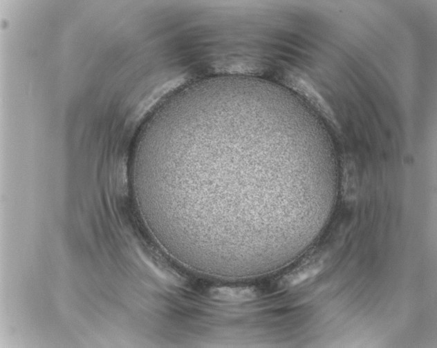 X0000087360251200705041902