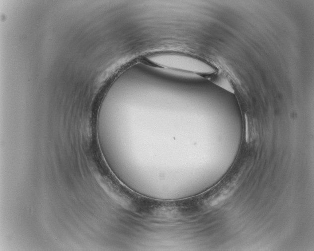 X0000087360252200705041902