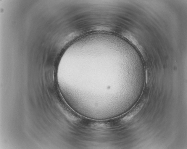 X0000087360253200705041902