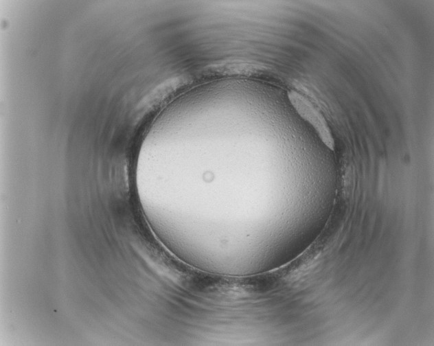 X0000087360254200705041902