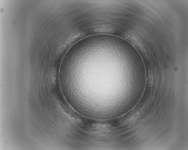 X0000087360255200705041902