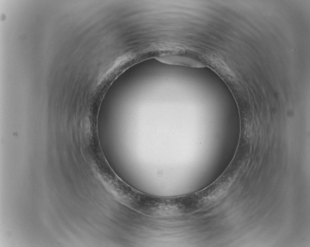 X0000087360256200705041902