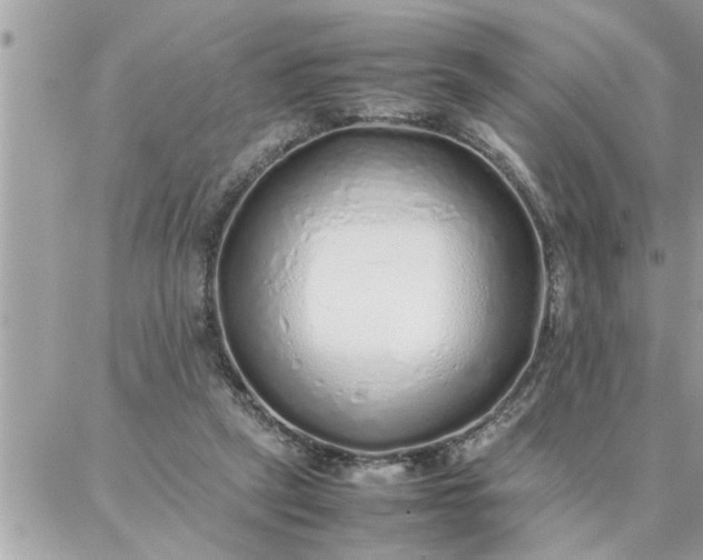 X0000087360257200705041902