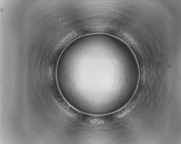 X0000087360258200705041902