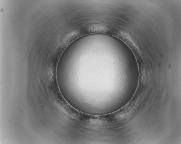 X0000087360259200705041902