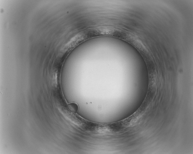 X0000087360262200705041902