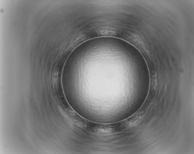 X0000087360263200705041902