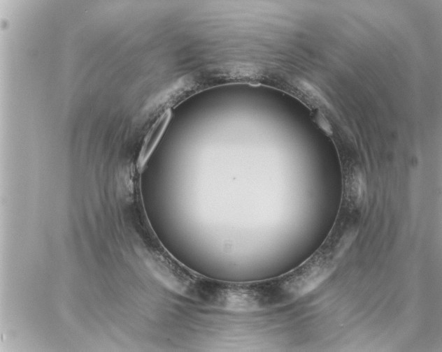 X0000087360264200705041902