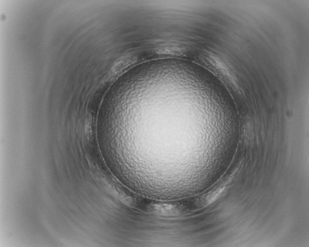 X0000087360265200705041902