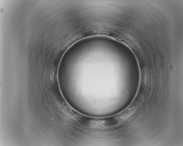 X0000087360266200705041902