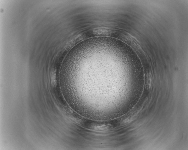 X0000087360267200705041902