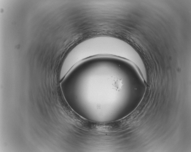 X0000087360268200705041902