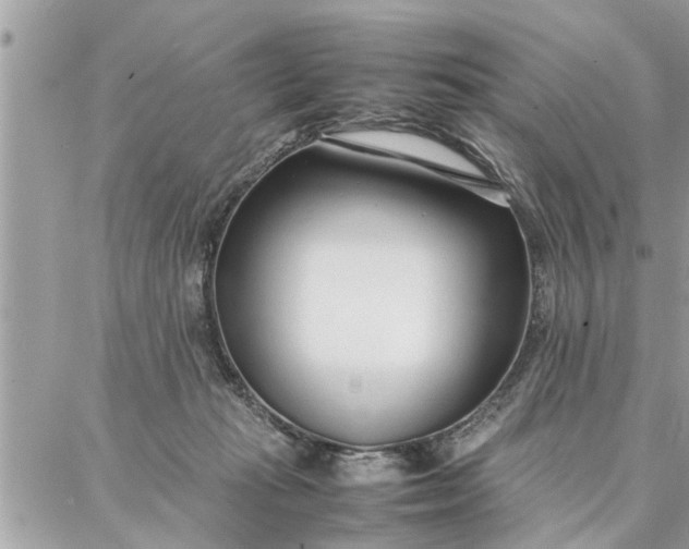 X0000087360269200705041902