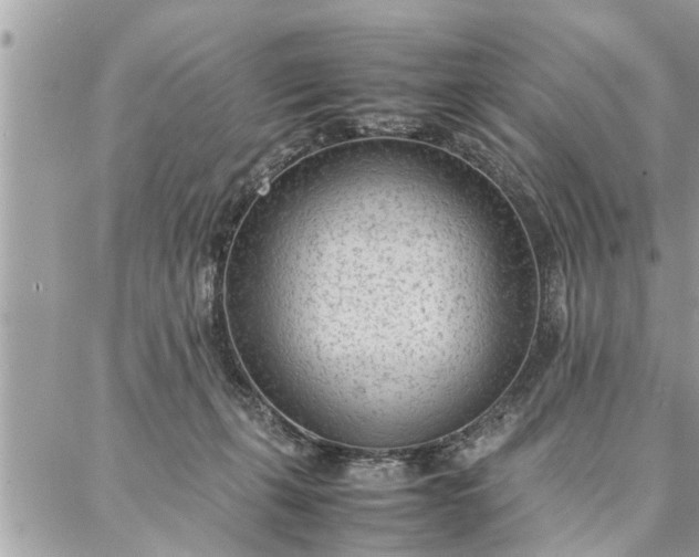 X0000087360271200705041903