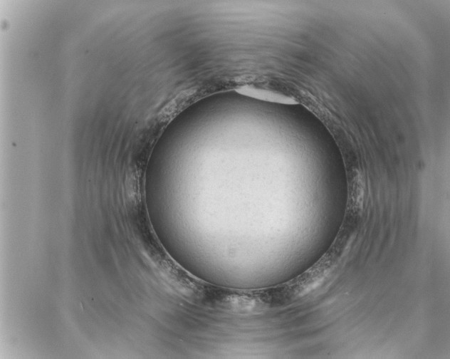 X0000087360272200705041903