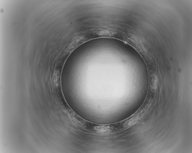 X0000087360273200705041903