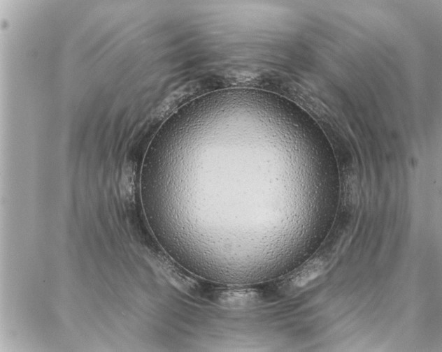 X0000087360274200705041903