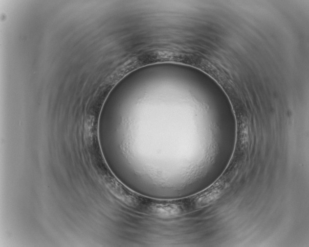 X0000087360275200705041903