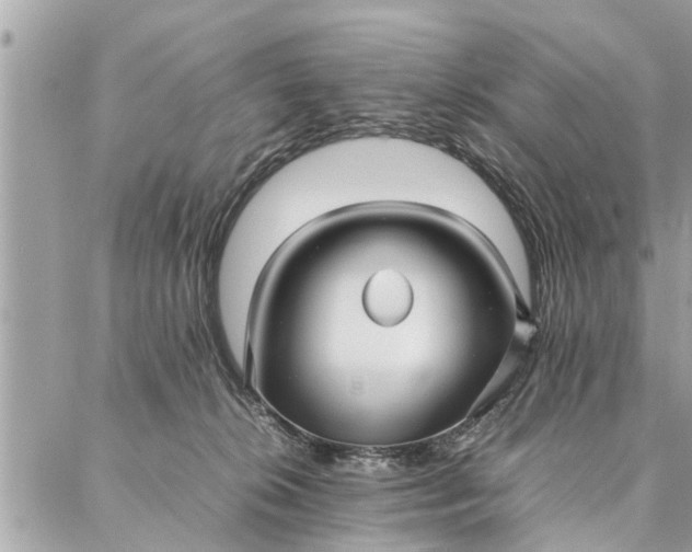 X0000087360276200705041903