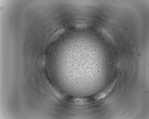 X0000087360277200705041903