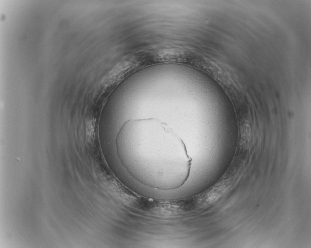 X0000087360278200705041903