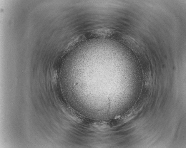 X0000087360279200705041903