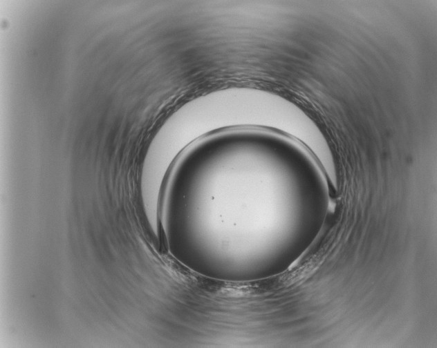 X0000087360280200705041903