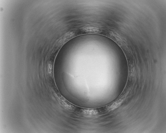 X0000087360281200705041903