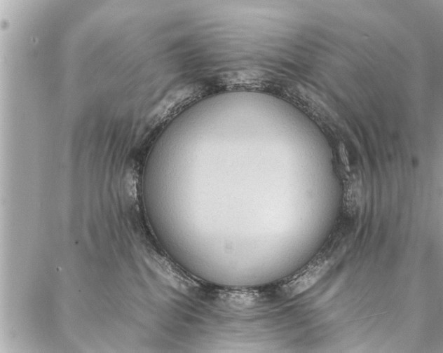 X0000087360282200705041903