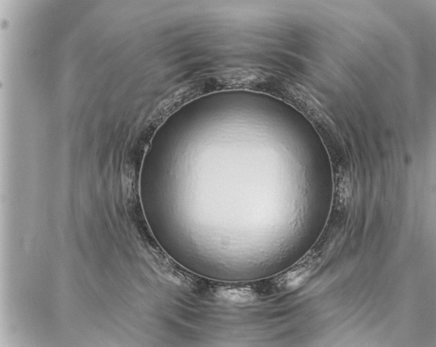 X0000087360283200705041903