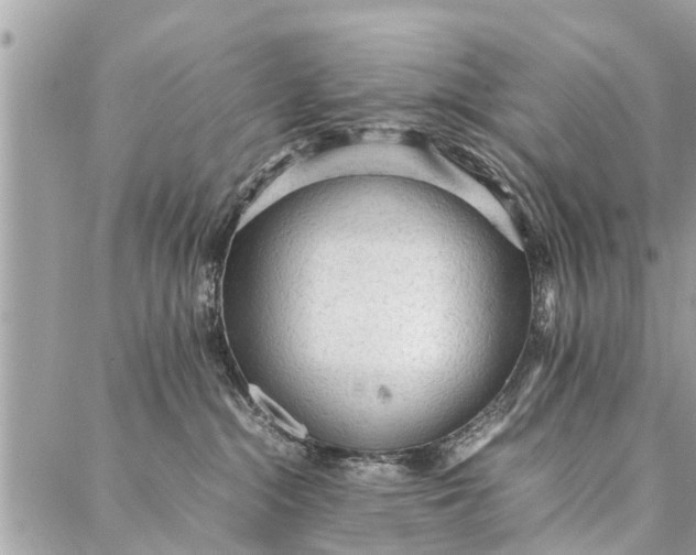 X0000087360284200705041903