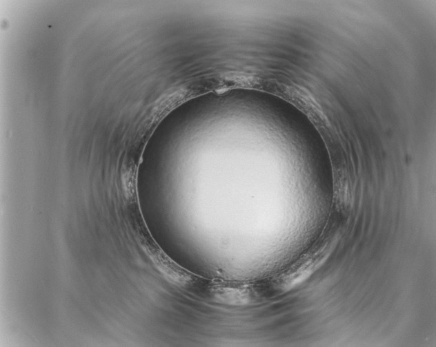 X0000087360285200705041903