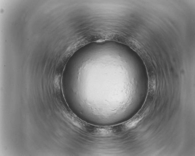 X0000087360286200705041903