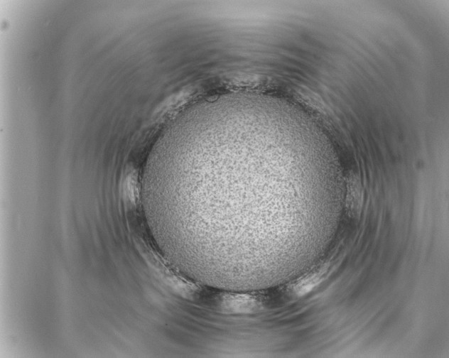 X0000087360287200705041903