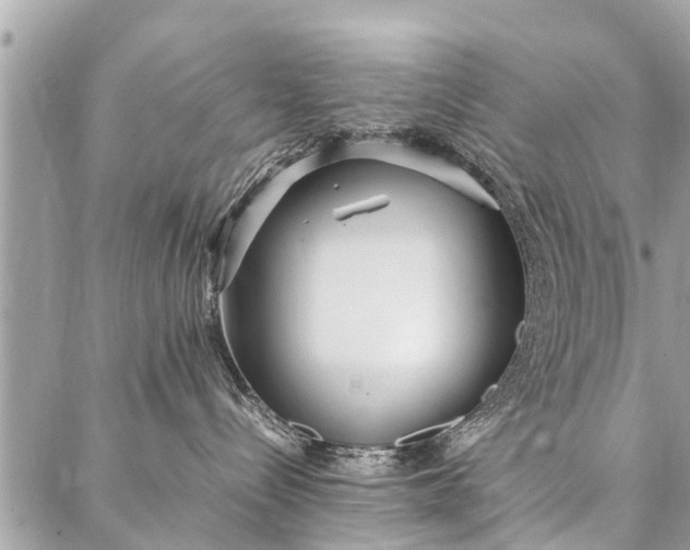 X0000087360288200705041903