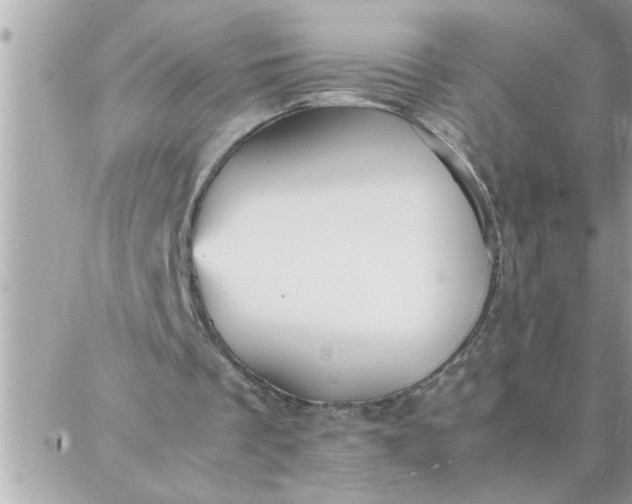 X0000087360289200705041902