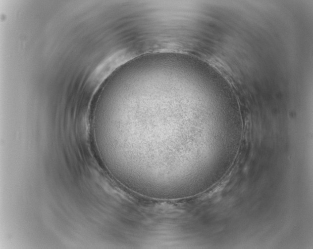 X0000087360290200705041902