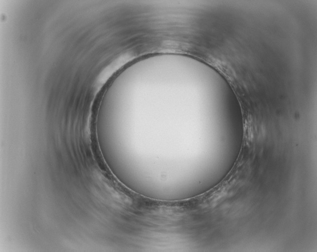 X0000087360292200705041902