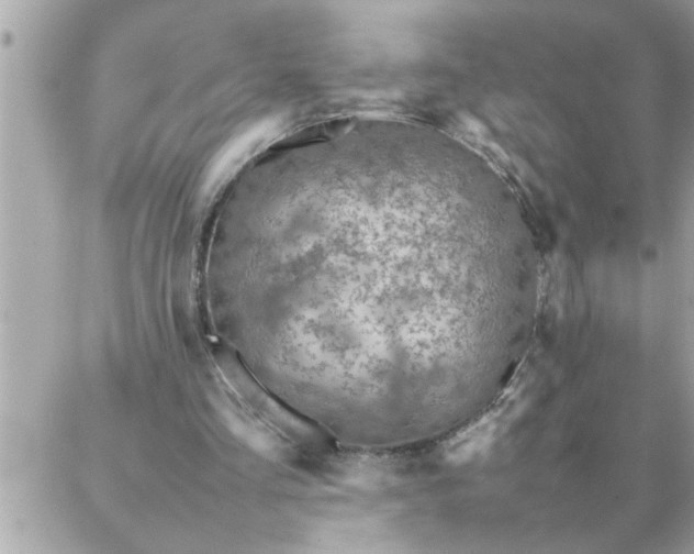 X0000087360293200705041902