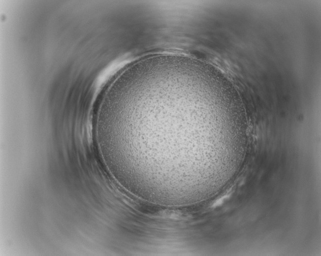 X0000087360294200705041902