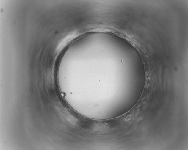 X0000087360296200705041902