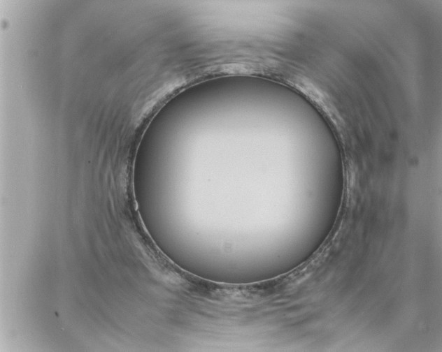 X0000087360297200705041902