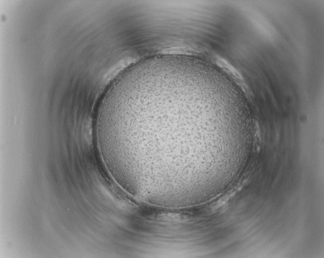 X0000087360298200705041902