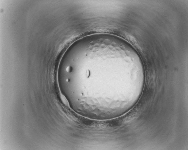 X0000087360299200705041902