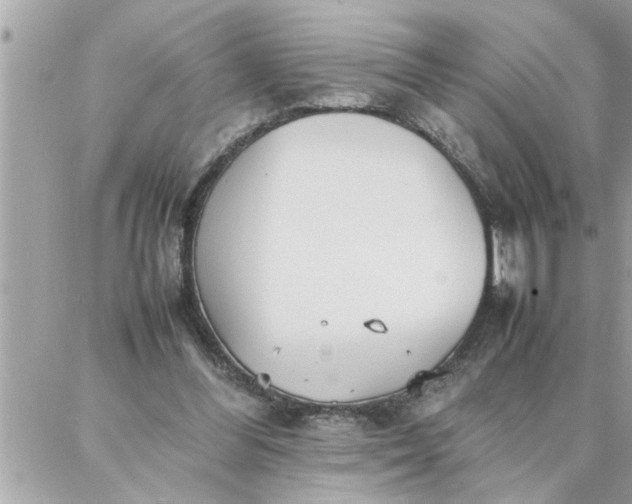 X0000087360300200705041902