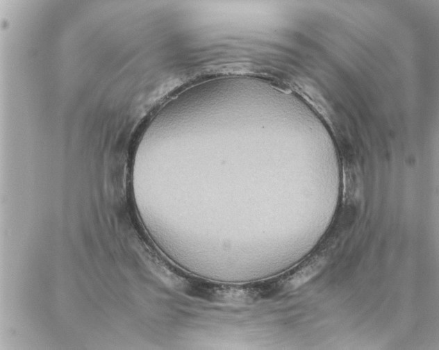 X0000087360301200705041902