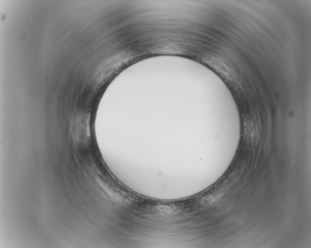 X0000087360302200705041902